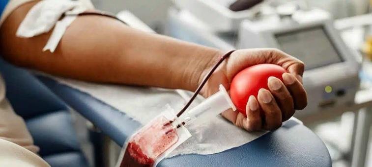 En Argentina más de 7300 personas esperan un transplante de órganos