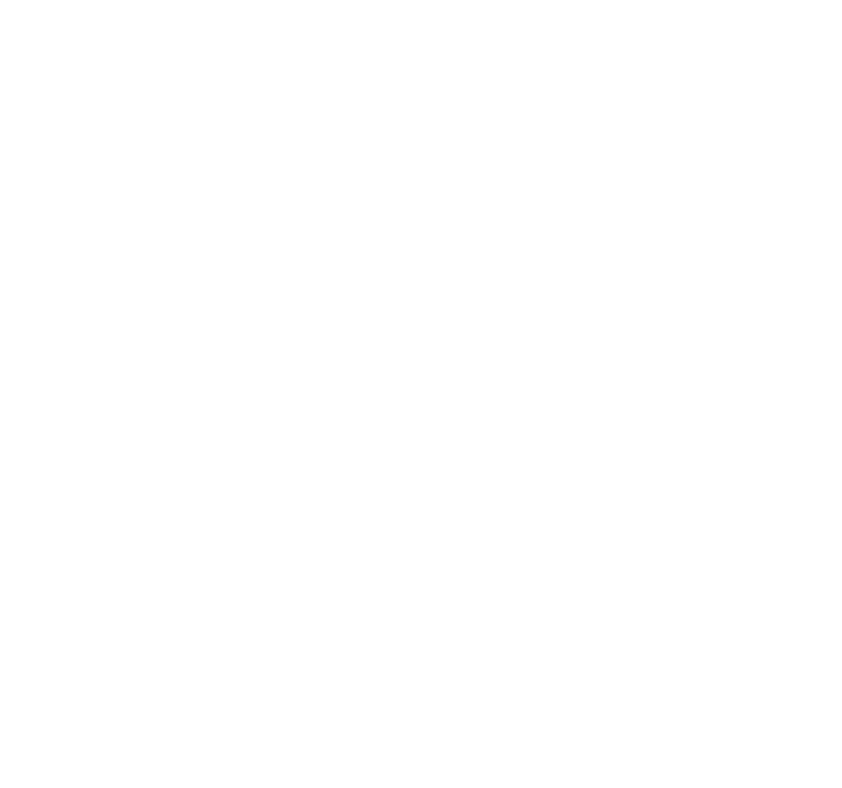 Logo Instituto Solumne